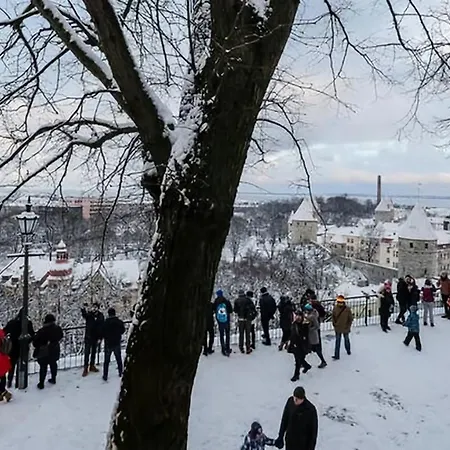 Appartement Luxury Medieval 2 Storey With Antique Furniture In Old Town Tallinn