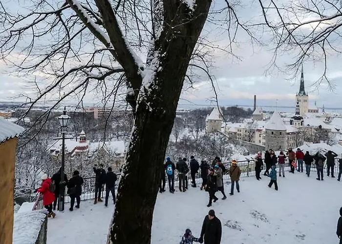 Daire Luxury Medieval 2 Storey With Antique Furniture In Old Town Tallinn